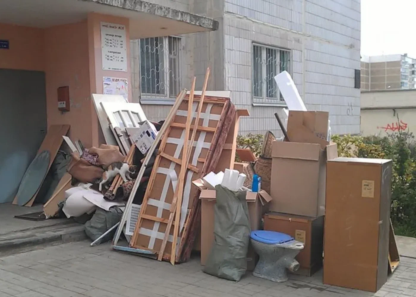 Профессиональный вывоз мусора из квартиры в Ухте в октябре