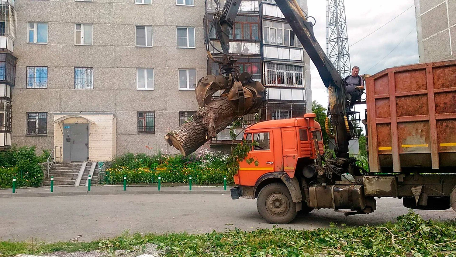 Вывоз спиленных веток и деревьев в Ухте от ПроМусор: порубочные остатки, утилизация, цена от 2936 руб