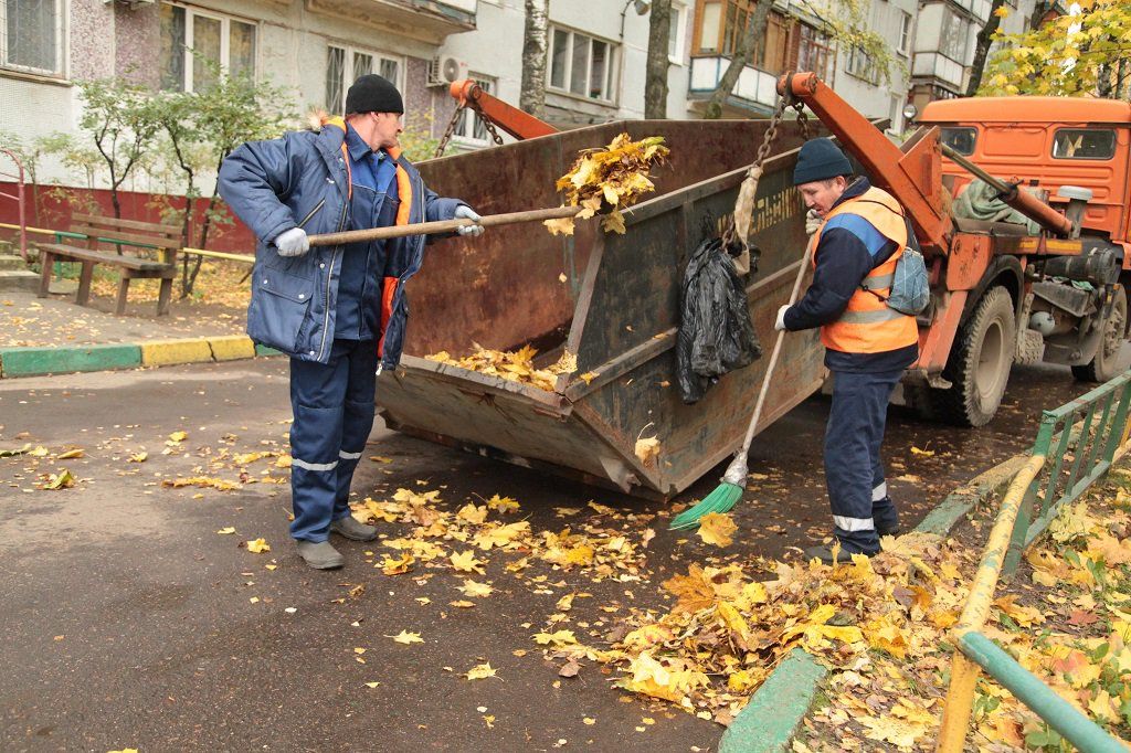 Вывоз опавшей листвы и растительного мусора в Ухте от ПроМусор – цена от 4556 руб., быстрая уборка и утилизация